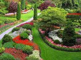 jardinería