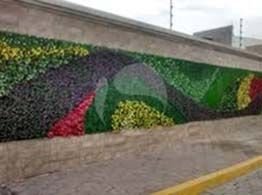 muros verdes
