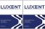 LUXENT INTERNATIONAL BUSINESS ...